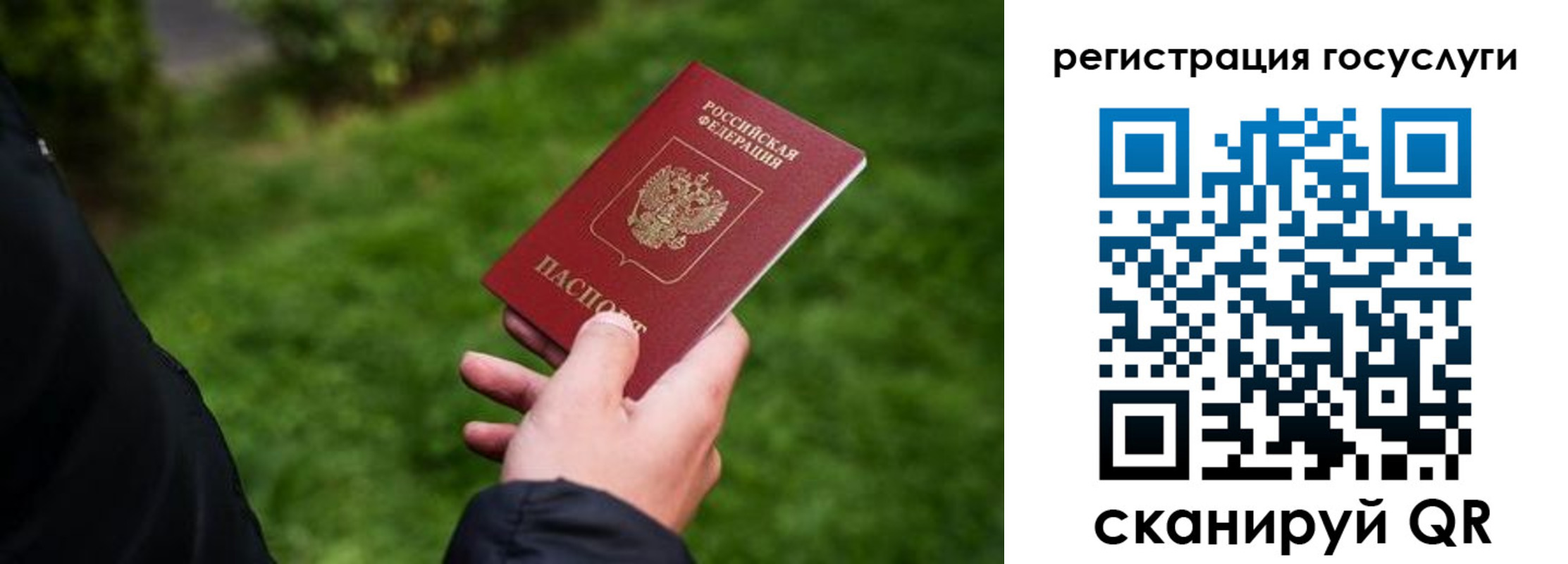 прописка в Николаевске-на-Амуре